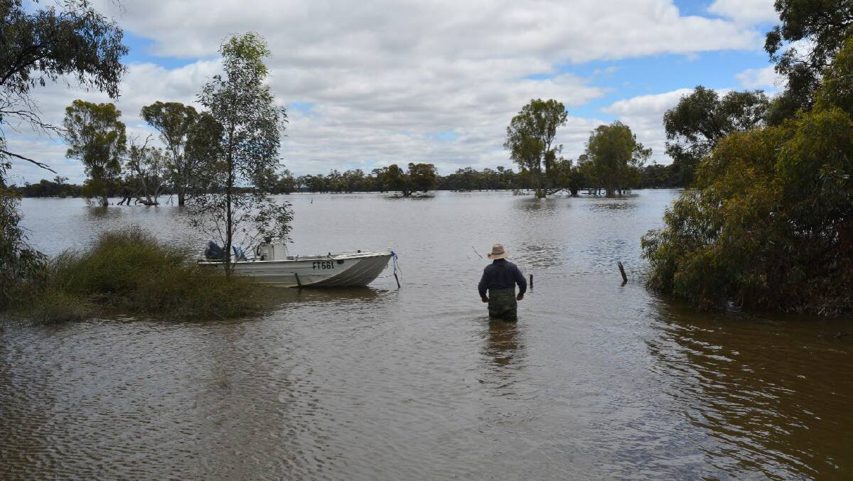 Andrew Burge looks out over floodwaters on his Deniliquin property in November, the third flood to hit his farm in just two months. Picture supplied