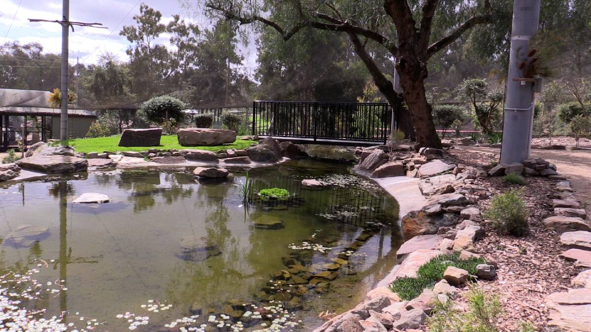 One of the new ponds installed in the zoo over lockdown. Picture: Contributed