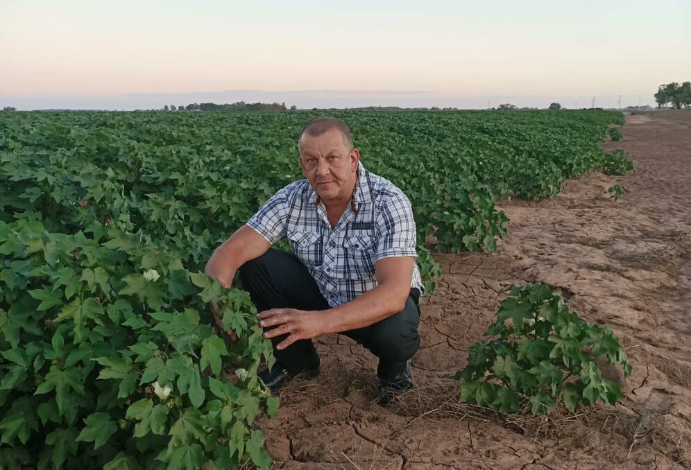 GROWING: Third-generation farmer Darren Ciavarella has centred his federal election campaign around fighting the corruption he believes to be widespread across Australian politics. Pictures: Supplied