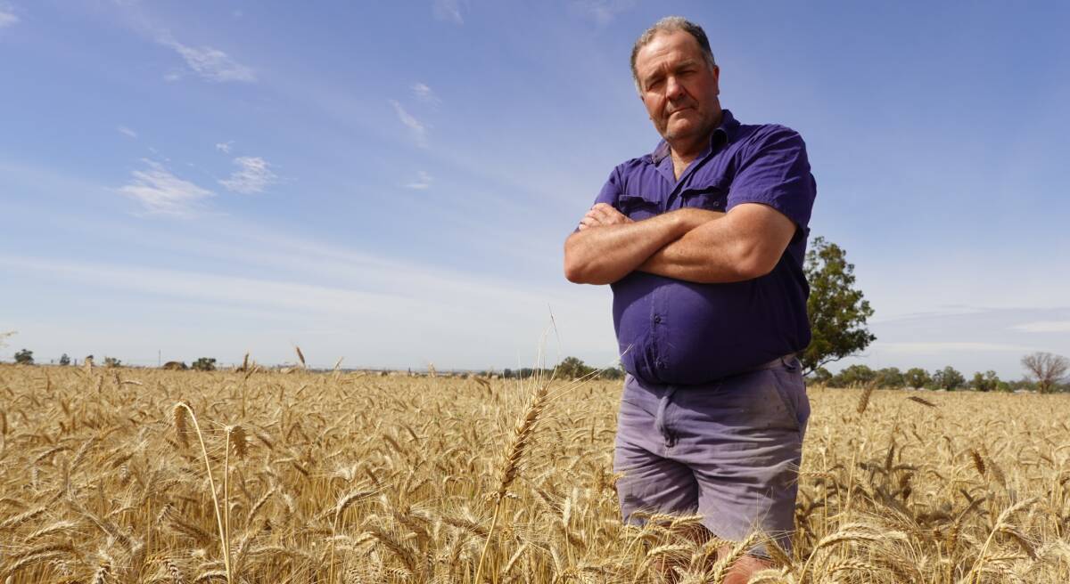 KICK IN THE GUTS: Downside dryland farmer David Meiklejohn says he hasn't been able to buy his usual shipment of fertiliser due to the supply issues. Picture: Monty Jacka