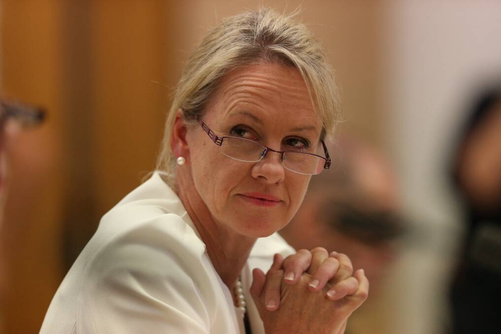 Regional Communications Minister Fiona Nash has lashed out at Labor for "lies" about a National Press Club speech.