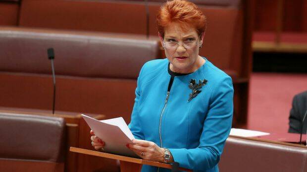 Senator Pauline Hanson delivers her first speech in the Senate on Wednesday afternoon. Photo: Alex Ellinghausen