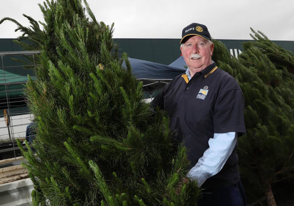 David Brady from Wagga Sunrise Rotary with a freshly cut tree. Picture: Les Smith
