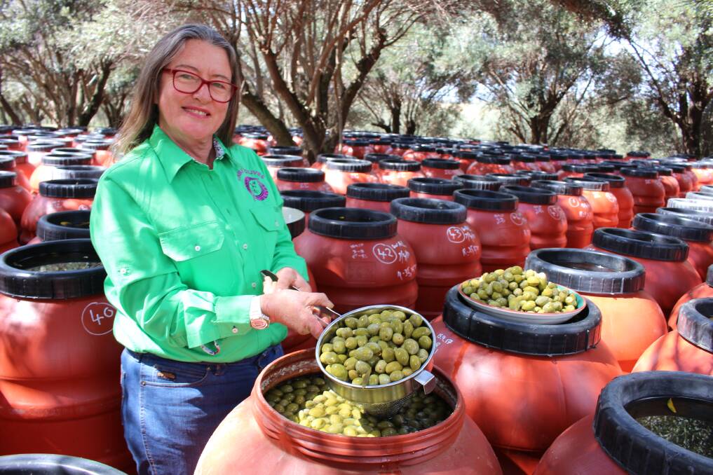BURSTING WITH FLAVOUR: Margie Carter of Parafield Olives with close to 70 tonnes of olives pickling in barrels. Picture: Madeleine Clarke 