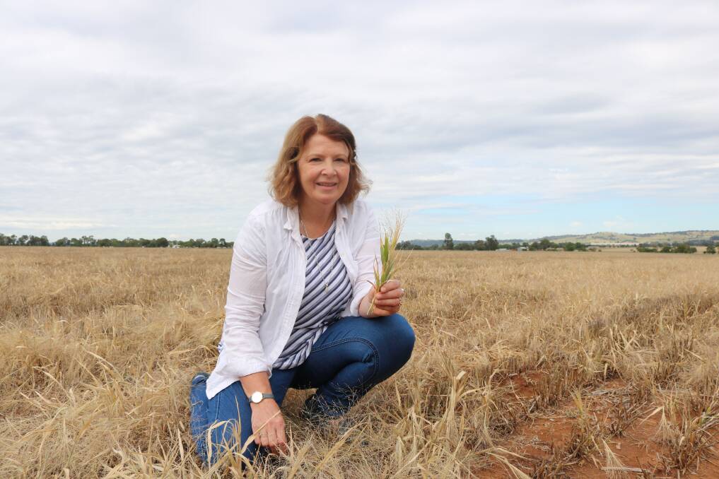 START THE YEAR FRESH: CSU Professor Leslie Weston is encouraging farmers to get on top of weed management in fallow paddocks. Picture: Contributed 