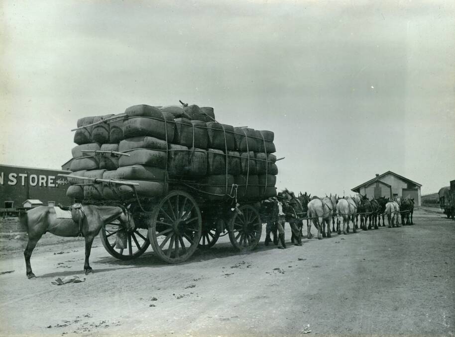 MOMENT IN TIME: A wagon team at the ready at the Wagga Wagga Rail Yards. Picture: ANTHONY BRUNSKILL ALBUM, MUSEUM OF THE RIVERINA
