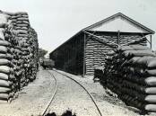 Eighty-eight thousand bags of wheat at Uranquinty in about 1910. Picture supplied (Museum of the Riverina, Brunskill Album)