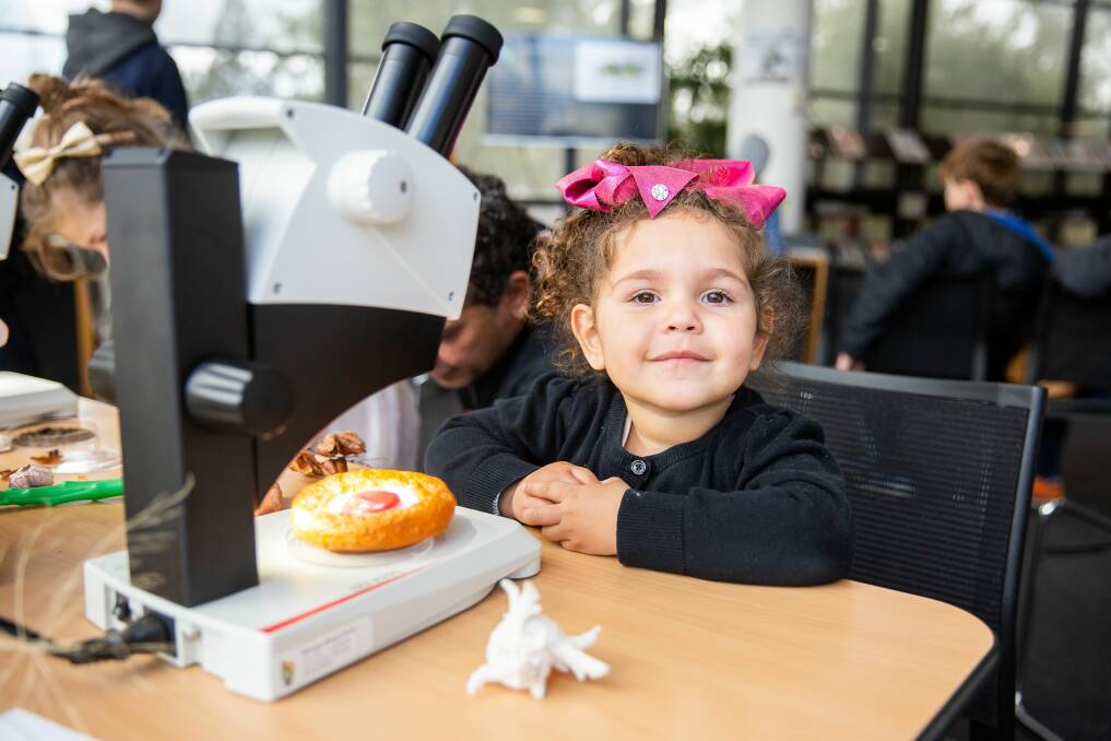LOVE OF LEARNING: Wagga Wagga City Library will be part of the Riverina Science Festival, which will be celebrated from August 11-17. Picture: Jack of Hearts Studio