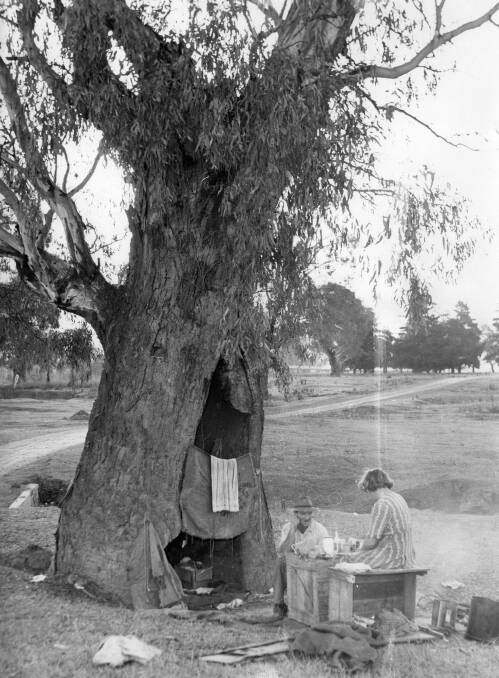 BASICS: A couple making a home in a tree on river flats near Wagga. Picture: Tom Lennon Collection (CSURA RW1574.1558)
