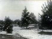 Snowfall in Newtown Gardens, Wagga, about 1910. Picture supplied (Museum of the Riverina, Brunskill Album)
