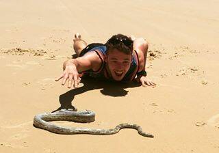 NO FEAR: James "Jimmy" Shepherd gets close to a snake on a Frazer Island beach.