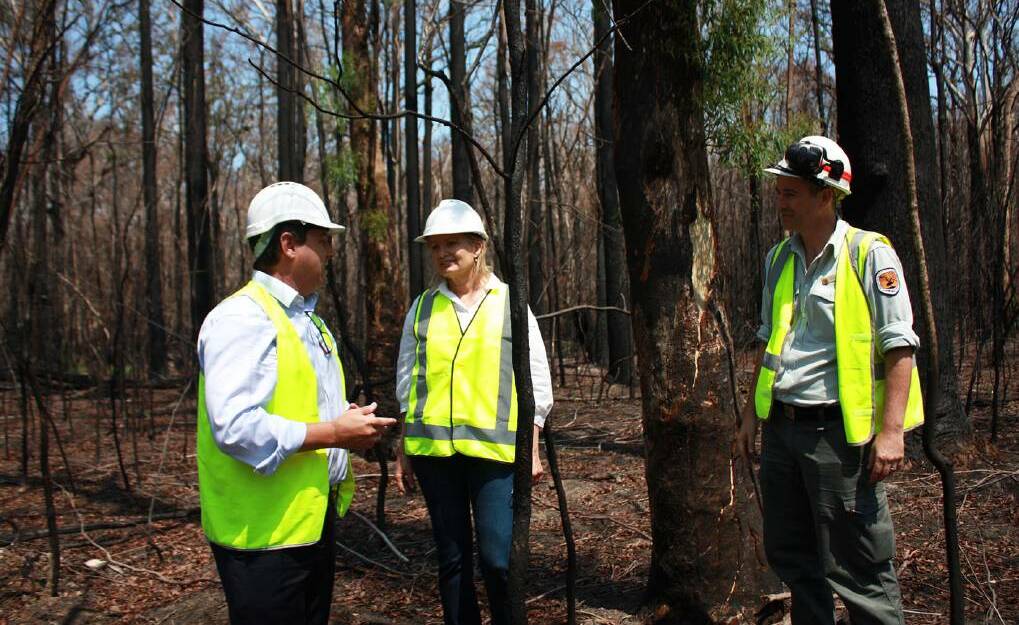 Member for Cowper Pat Conaghan, Minister for the Environment Sussan Ley and NSW National Parks and Wildlife Service ranger Geoff James during an inspection of the bushfire impacts at Lake Innes Nature Reserve in Port Macquarie in January 2020.