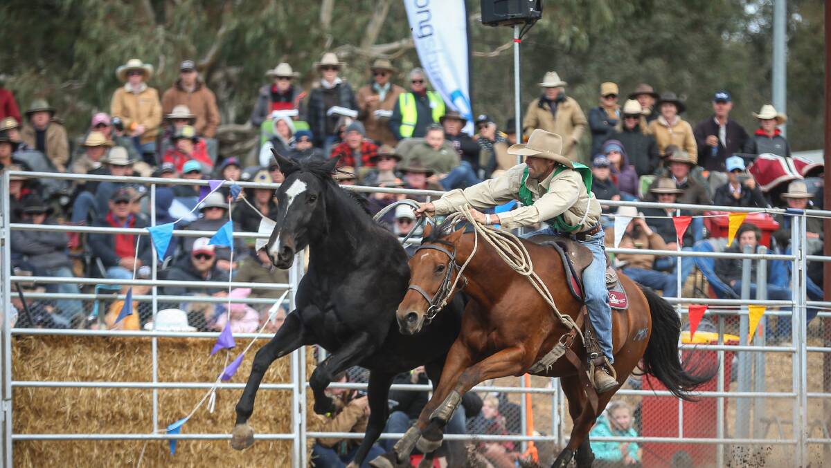 Tooma's David Mitchell finished runner-up in the Man From Snowy River Bush Festival challenge on Sunday. Pictures: JAMES WILTSHIRE
