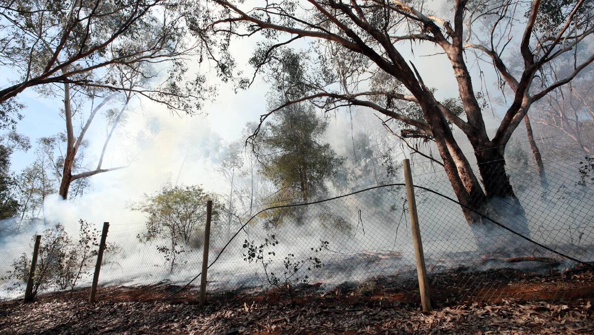 SMOKY: The controlled burn reduces fine fuels along the ground above the botanic gardens. Picture: Les Smith