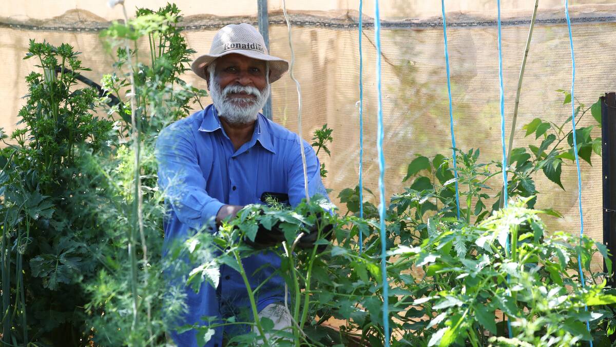 ADVICE: Karuna Chinniah from the Wagga Demonstration Gardens says shade, deep watering and mulch are the three keys to protecting plants from the harsh Wagga summer. Picture: Emma Hillier