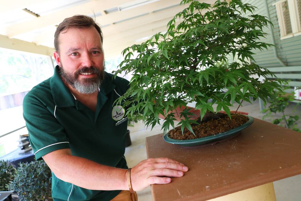 PASSION: Geoff Hannah says growing and shaping bonsai trees is a great way to be in the moment. Picture: Emma Hillier 
