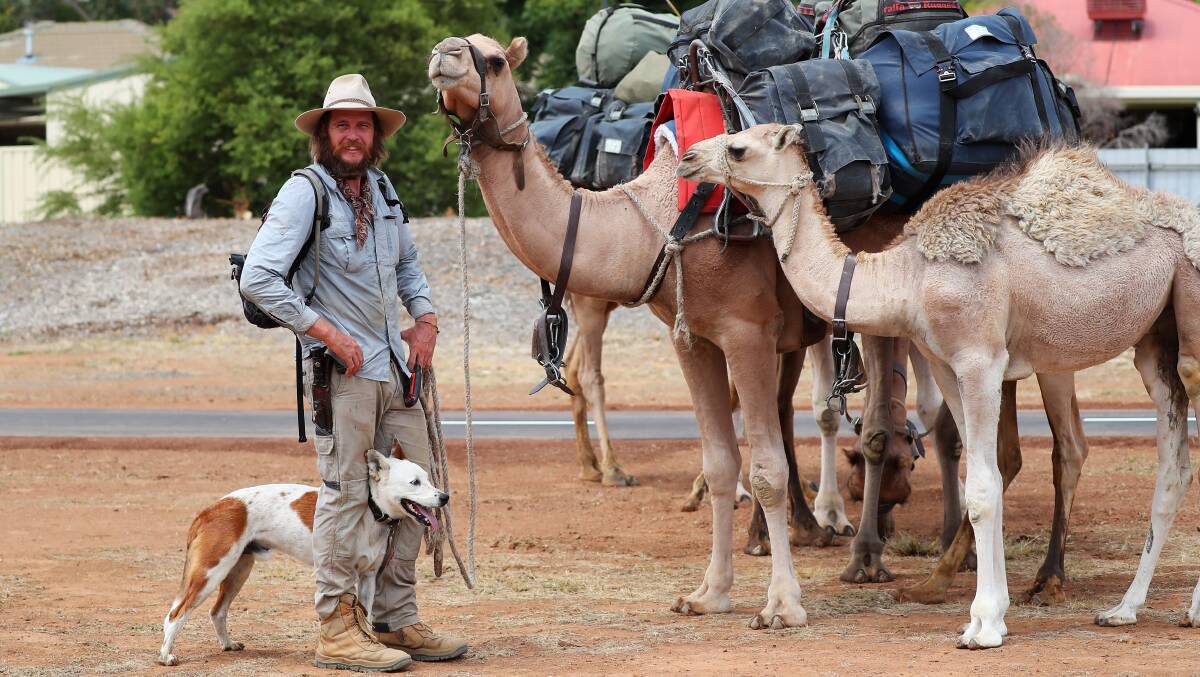 ADVENTURE: John Elliott, his dog Bruski and some of his camels on his trek across Australia. Picture: Emma Hillier