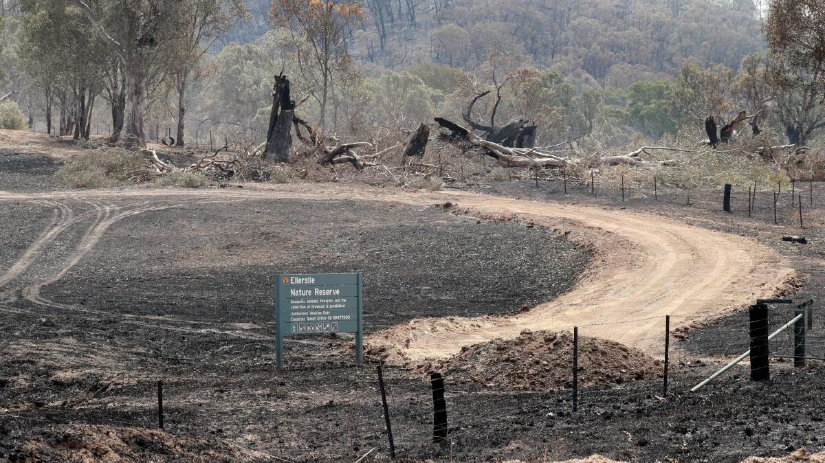 REBUILDING: Fire damage along the Snowy Mountains Highway heading to Adelong.
