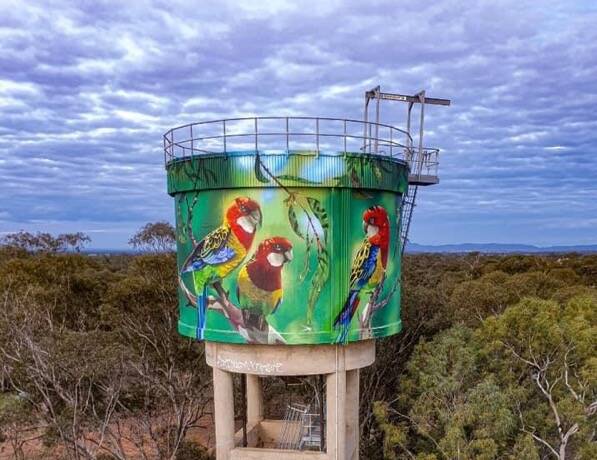 PROJECT SUCCESS: The water tower mural at Milbrulong was funded by Riverina Water's community grants program, which is open now.
