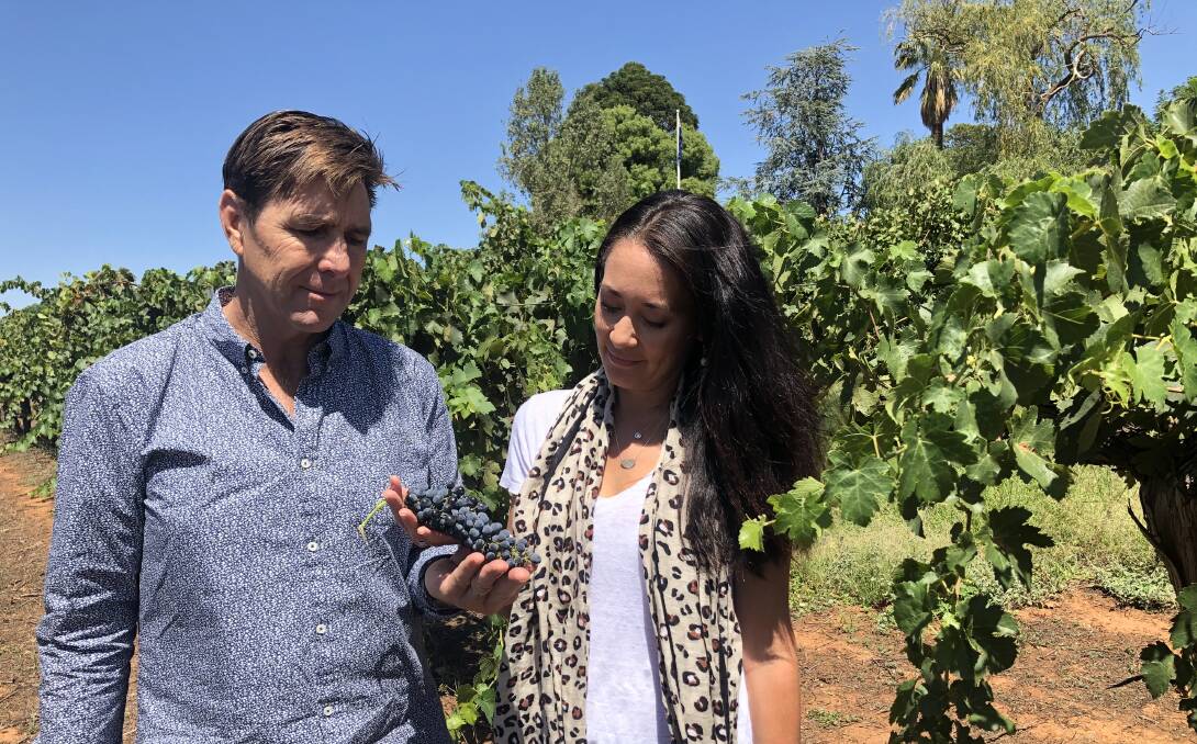 RUINED: Tim McMullen and Naomi Miller of Borambola Wines survey the grapes, which look and taste as sweet as ever but cannot be used for wine. Picture: Rachel McDonald