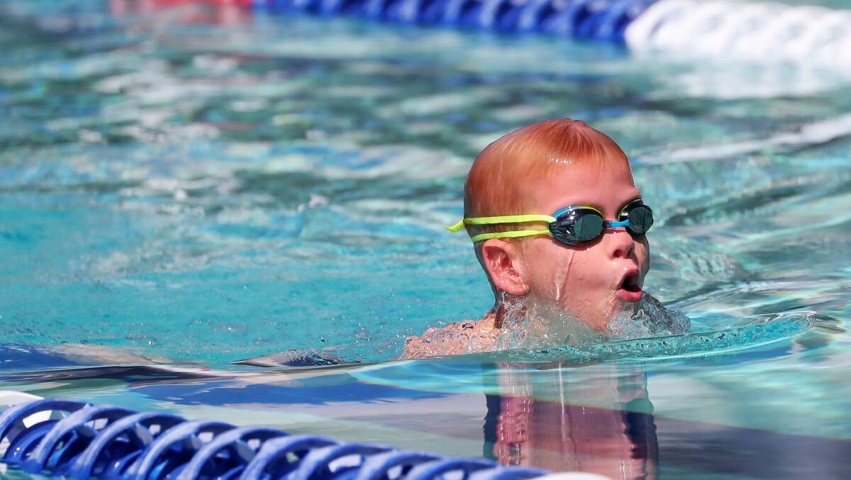 Young swimmers put themselves to the test at Lake Albert Public's Swimming Carnival. Pictures: Emma Hillier