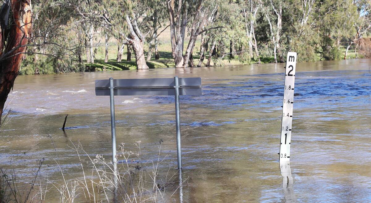 The Murrumbidgee River floods the bridge at Tenandra Road, Mundarlo last week. Picture: Emma Hillier.