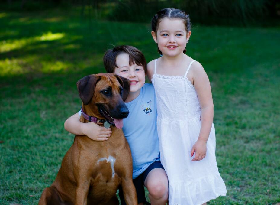 Kiah, an 18-month-old female ridgeback, who went missing in the Maragle State Forest, with family members Arlo, aged 5, and Indi, Aged 3. Picture: Contributed
