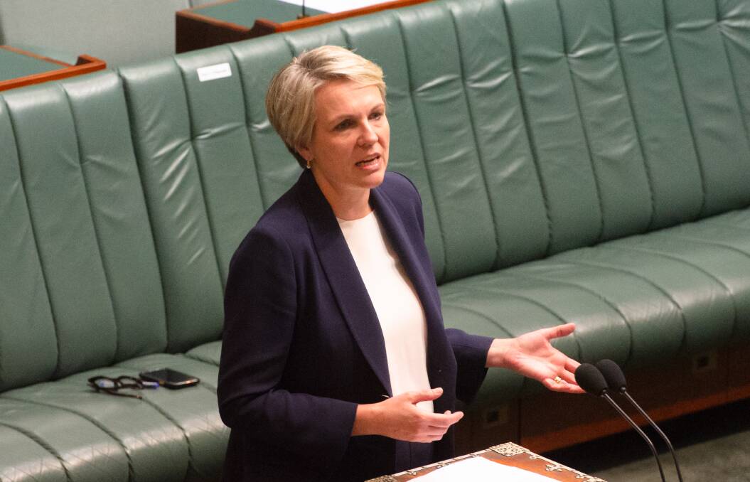 SPEAKER: Labor spokesperson for Education and Women, Tanya Plibersek, who will be the guest speaker at the Eddie Graham Dinner next month in Wagga, COVID-19 restrictions permitting. Picture: Elesa Kurtz
