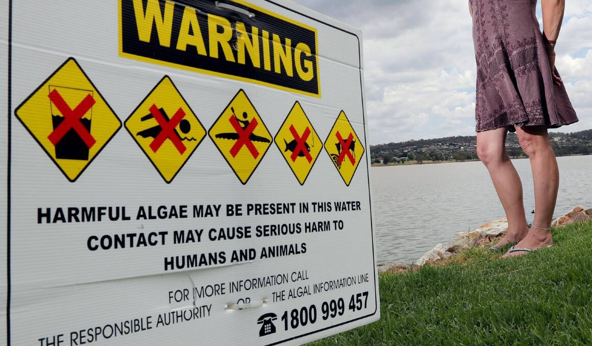 We Say: A draining experience for Wagga’s Lake Albert