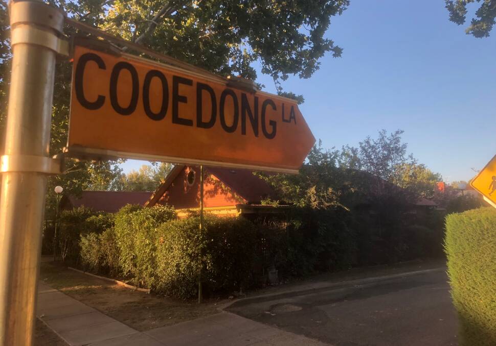 HERITAGE: Wagga's Cooedong Lane is one of the focal points for a debate over preserving privacy and heritage versus development applications for second dwellings above garages. Picture: Rex Martinich