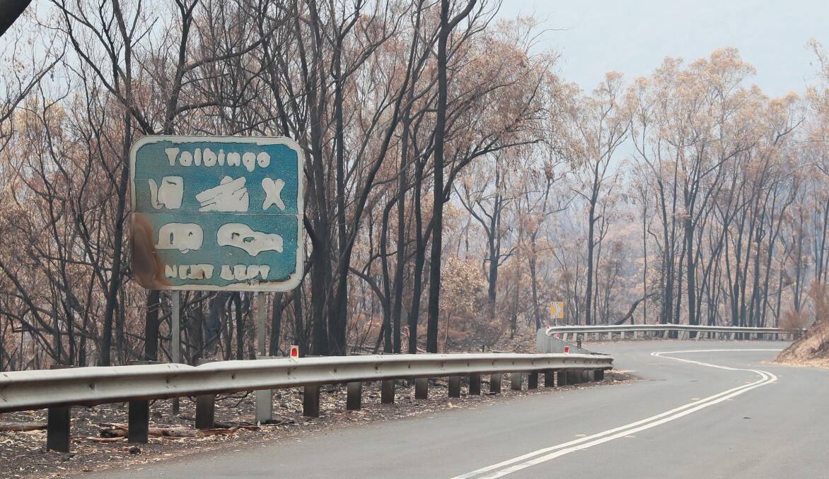 A scorched roadside along the Snowy Mountains Highway to Talbingo Mountain. The RFS has now changed strategy to employ back burns to contain the Dunns Road bushfire. Picture: Les Smith 