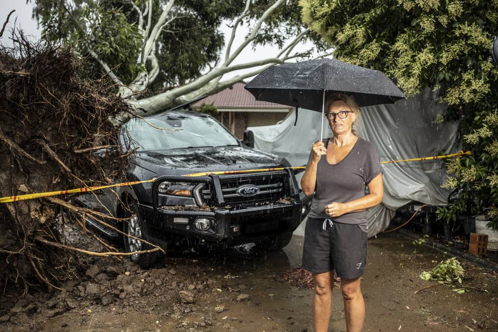 Narelle Samios was in Wagga on Wednesday to visit family when her partner's Ford Ranger utility was hit by a tree while parked on Incarnie Crescent during Wednesday night's storm. Picture: Ash Smith.
