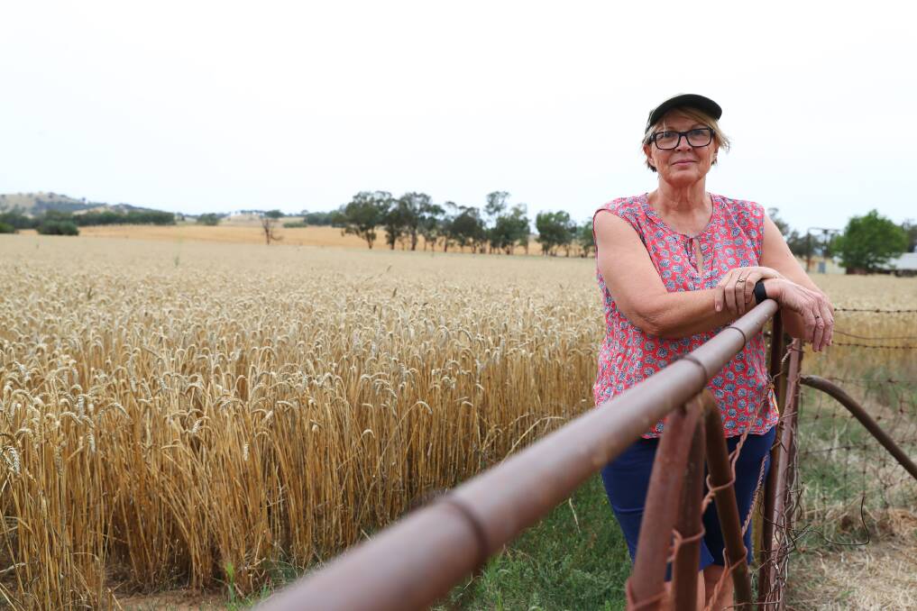 DISAPPOINTED: Book Book cattle, sheep and grain farmer Melody McMeekin says TransGrid has not done enough community consultation over plans to install 65-metre high pylons from Tumut to Wagga. Picture: Emma Hillier