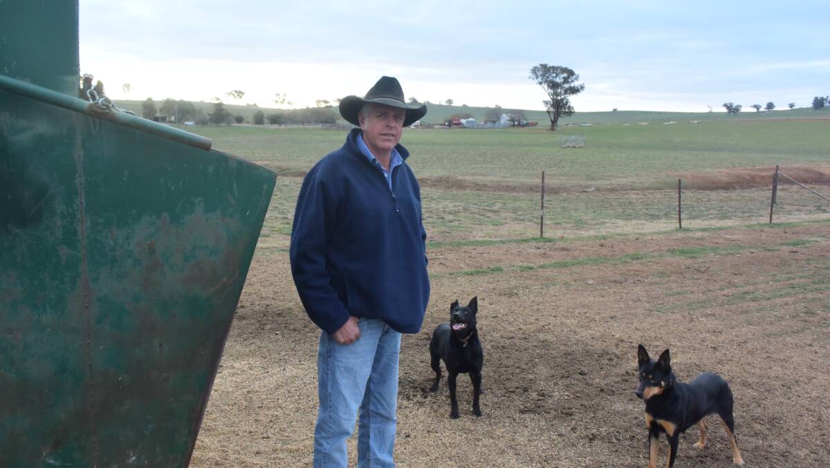 Downside livestock and Kelpie stud farmer Steve Condell has welcomed the expanded drought assistance but questioned the subsidy caps per farm. Picture: Rex Martinich