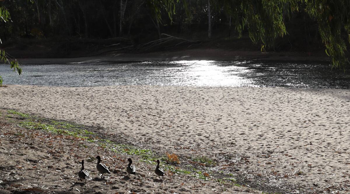 The Murrumbidgee River at Wagga Beach on Wednesday, where the official level was 0.57 metres. Picture: Les Smith 