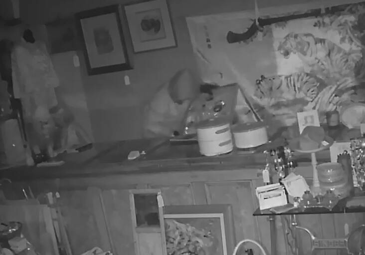 CCTV footage of a burglary at April's Antiques and Collectables in Junee on Saturday morning. Picture: Contributed
