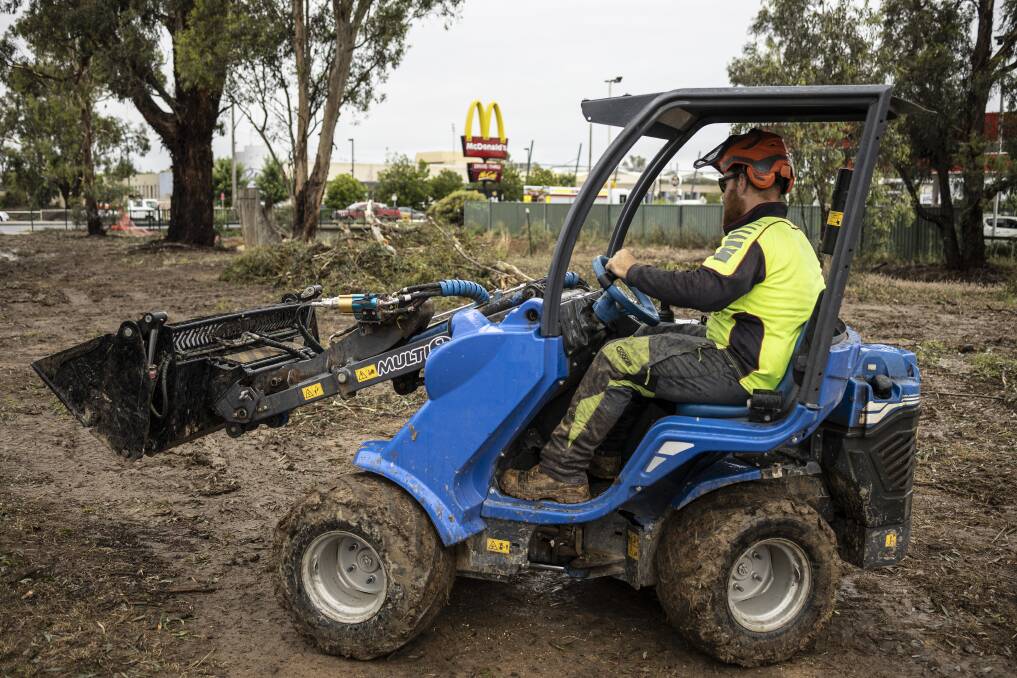 A Quinn's Tree Care worker clears up fallen trees at Glenfield Park on Friday following two days of rains, winds and thunderstorms. Picture: Ash Smith