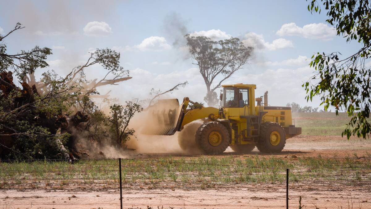 SHRINKING: The area within Wagga City Council boundaries has lost hundreds of hectares of native vegetation every year. Land clearing has previous sparked disputes between farmers and developers at Bethungra.