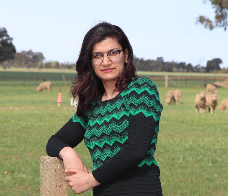 SHEEP STUDY: Wagga Charles Sturt University PhD Candidate Forough Ataollahi, from Iran, is a finalist in the NSW International Student Awards. Picture: Les Smith