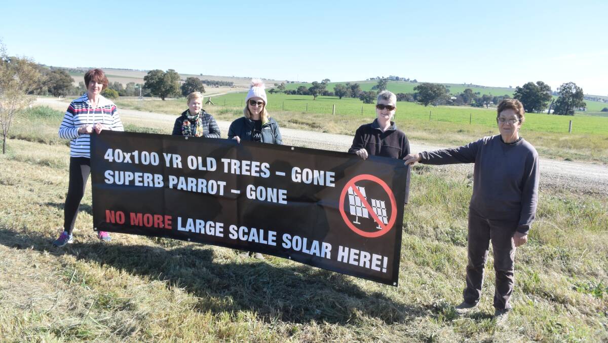 PROTEST: Eunony Valley Association members protest in July against a solar expansion on Windmill Road.