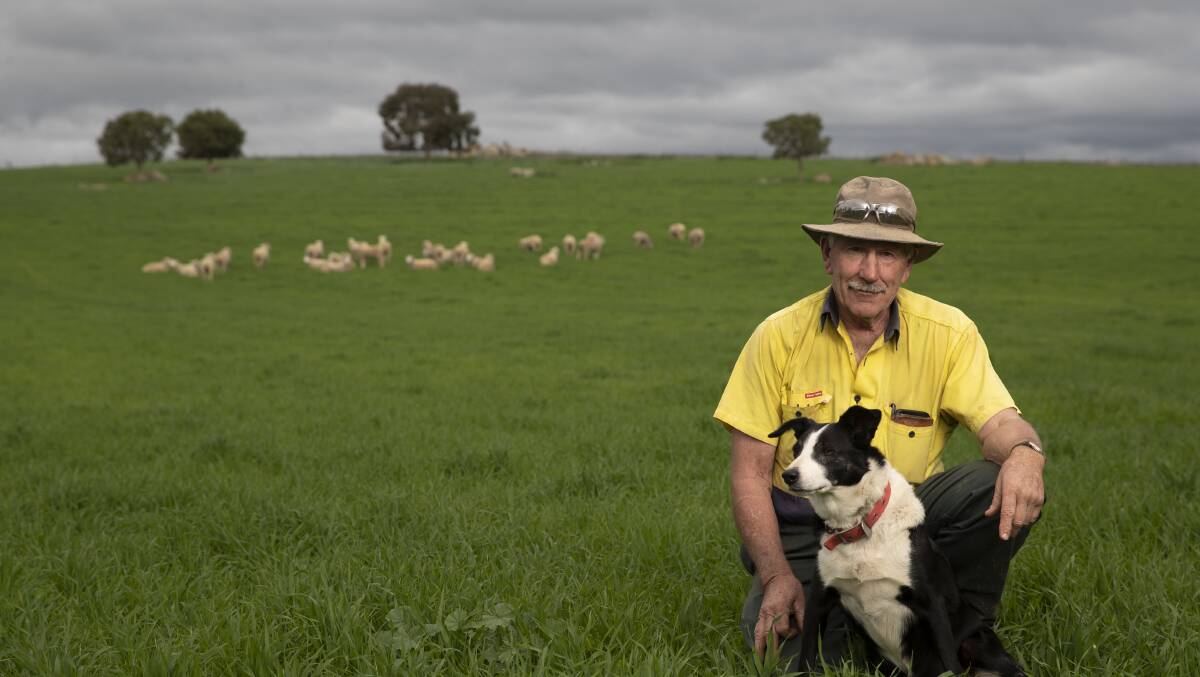 WELCOME: Wantabadgery farmer Tony Clough, with his dog Abbie, has welcomed the recent rain, knowing there will be dry spells to come. Picture: Madeline Begley