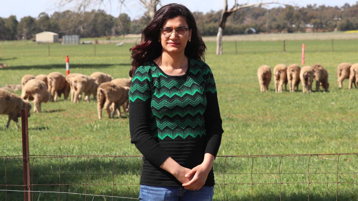 Wagga Charles Sturt University PhD Candidate Forough Ataollahi, from Iran, is a finalist in the NSW International Student Awards. Picture: Les Smith