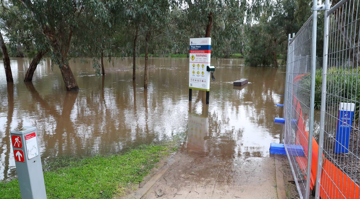 The Murrumbidgee River's rising water level cuts off the Wiradjuri Trail between Wagga Beach and CSU Riverina Playhouse on Tuesday morning. The SES has issued a flood warning for equipment and livestock. Picture: Emma Hillier.
