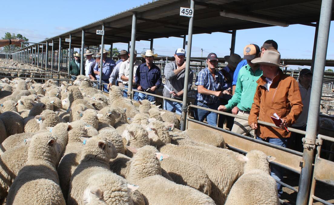 REGULATION: Wagga's Livestock Marketing Centre, which could require a new weighbridge due to enforcement efforts by the NSW government. 