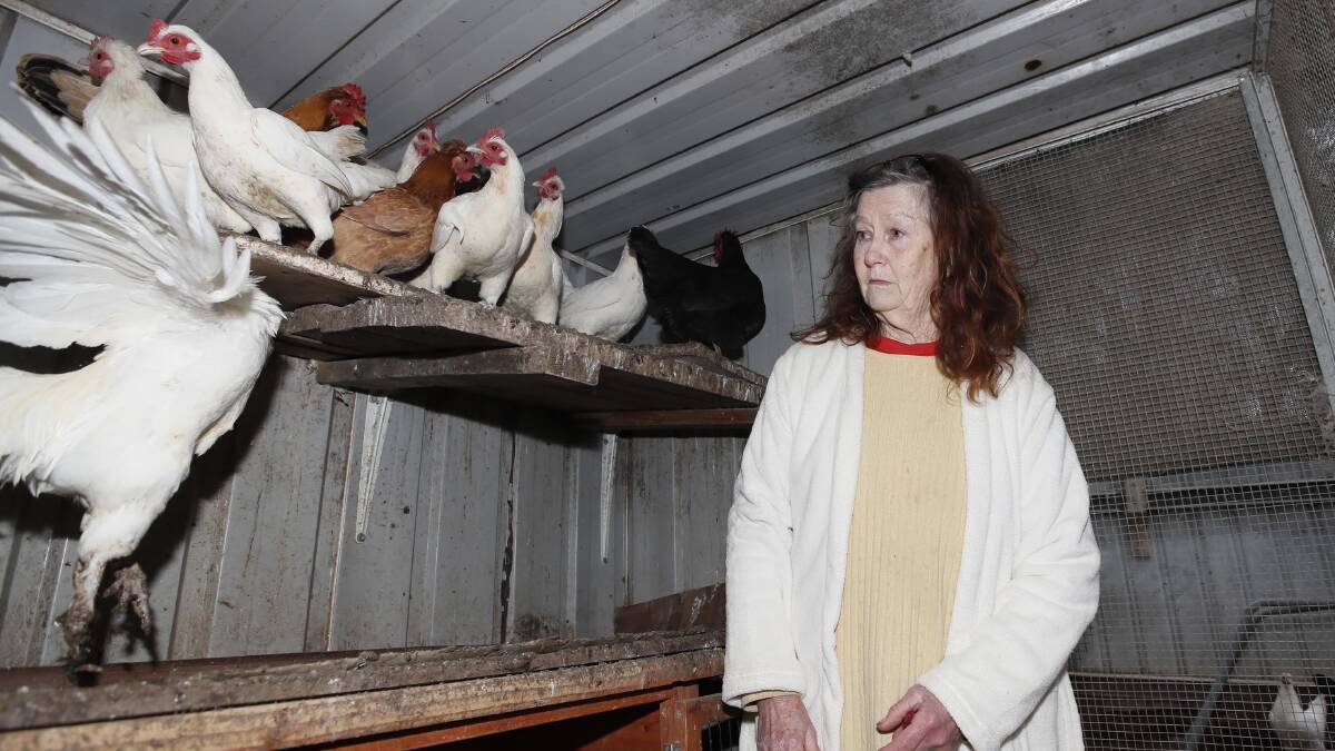 Tolland resident Marjorie Luthy with some of her surviving chickens. Picture: Les Smith