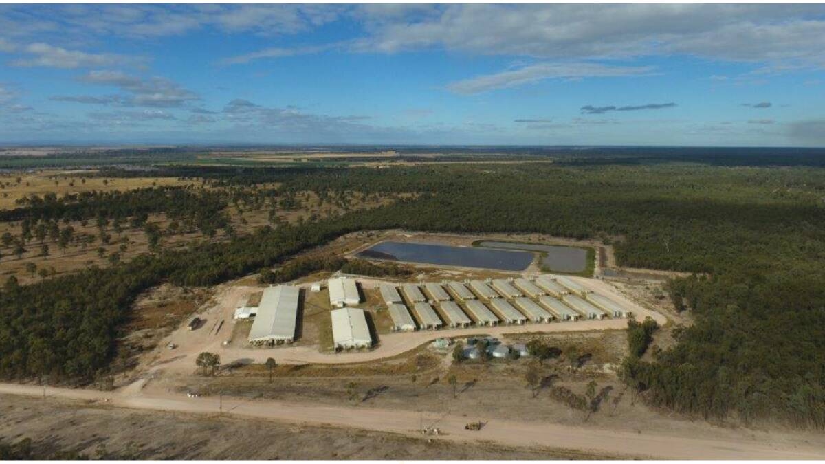 Farm: Sunpork Group's Tong Park genetic nucleus herd facility in Queensland similar to the expansion the company wants to build at Matong. 