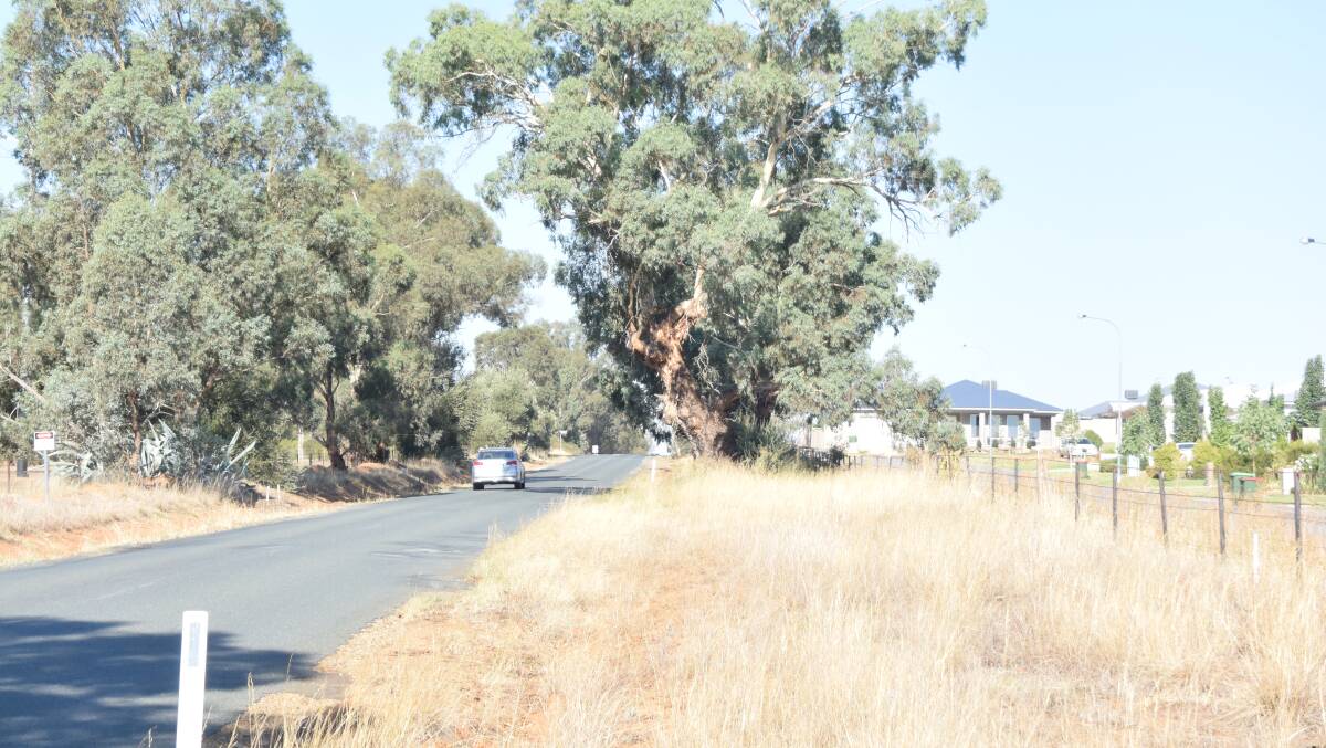 Farrer Road at Boorooma, which is being targeted for $6.1 million in widening by Wagga City Council. Picture: REX MARTINICH
