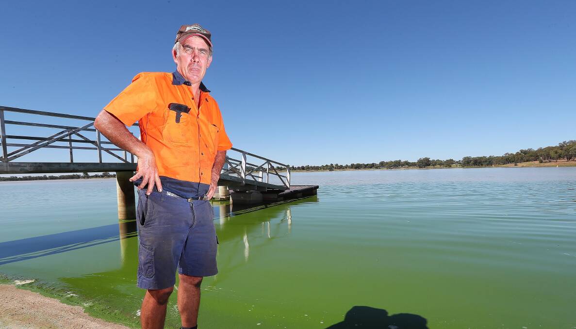 Commodore of the Wagga Boat Club Mick Henderson says he has spotted the first signs of this season's blue-green algae.