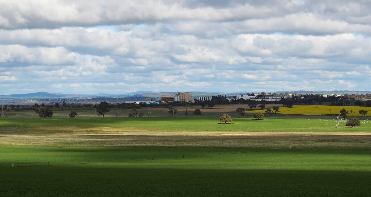 The northern boundary of the proposed special activation precinct and rural activity buffer zone around the existing Bomen industrial area, as seen from Mary Gilmore Road in Bricedale. Picture: Emma Hillier.