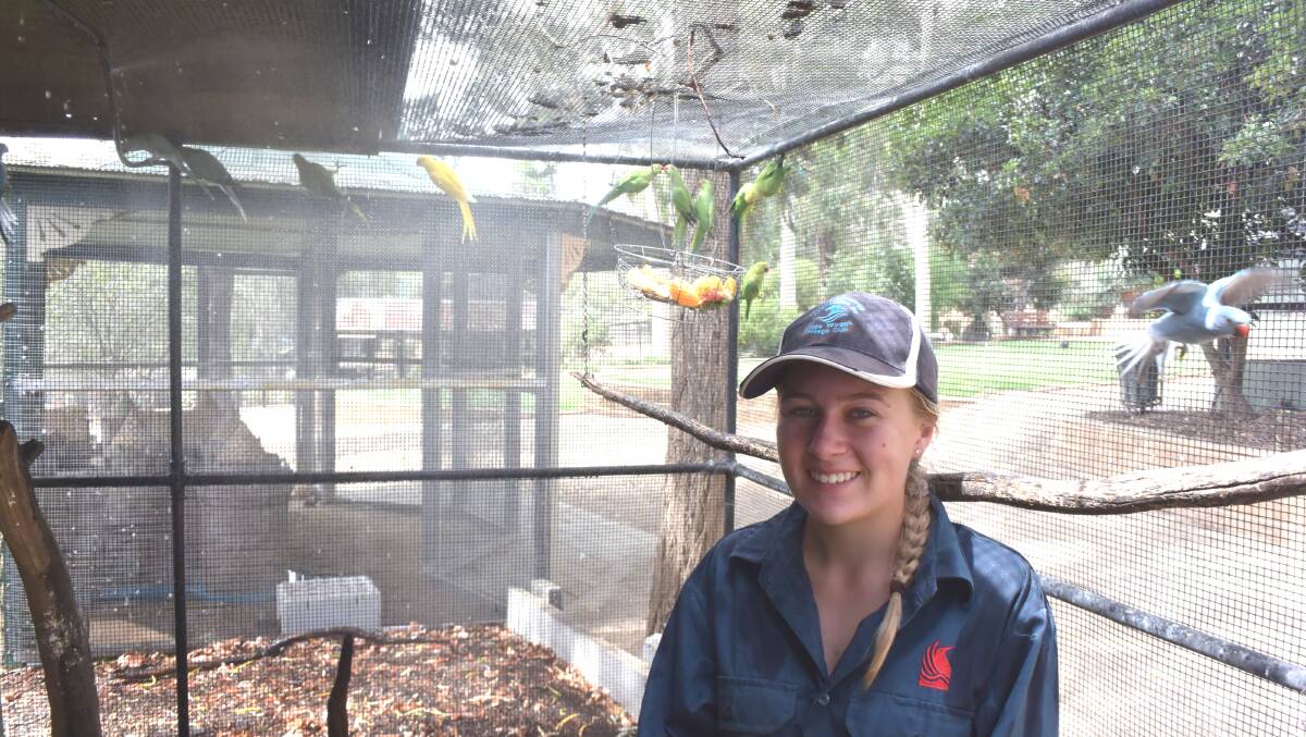 MIST: Wagga Botanic Gardens Zoo casual zoo curator Hannah Wilkin with the spraying system that keeps the menagerie of birds cool. 